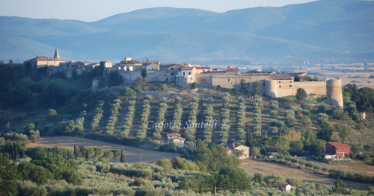 Comune di Magliano in Toscana Territorio