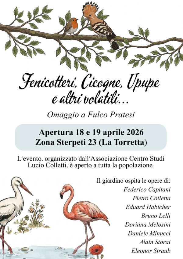 2Fenicotteri, Cicogne, Upupe  e altri volatili...