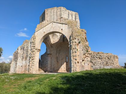 Visite guidate ed escursioni gratuite Visite guidate ed escursioni gratuite