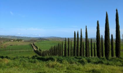 Consorzio COSVIMAT