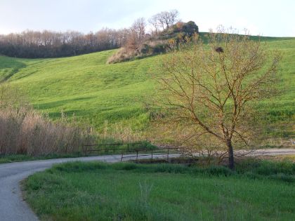 Convocazione assemblea Consorzio Unico delle Strade Vicinali