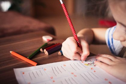Conferenza Zonale per l'Educazione e l'Istruzione