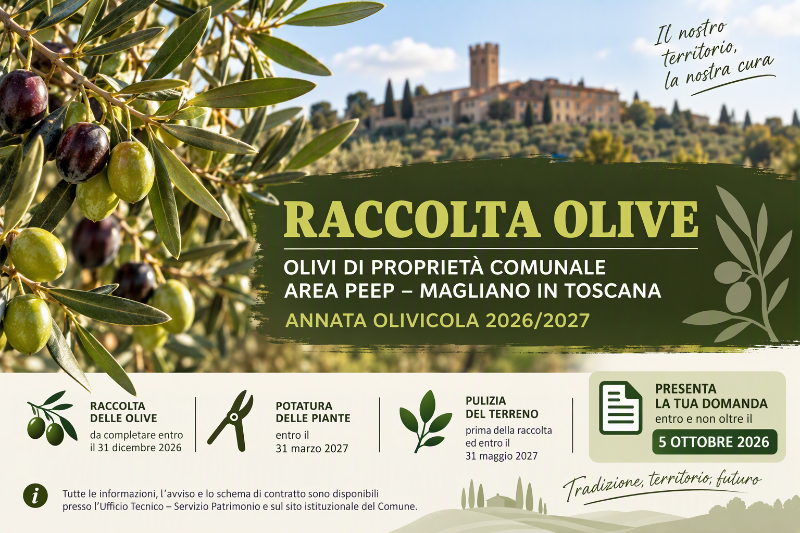 RaccoltaOlive