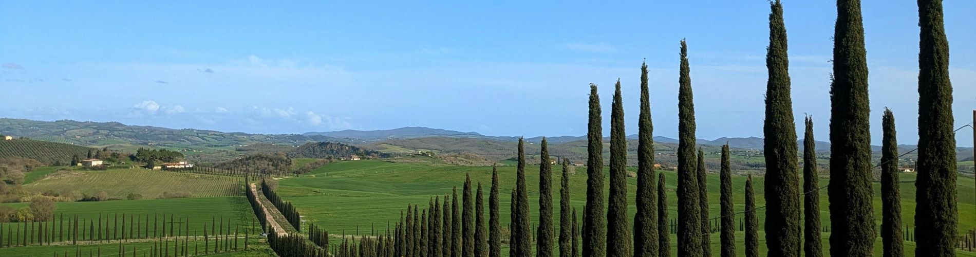 Consorzio-COSVIMAT