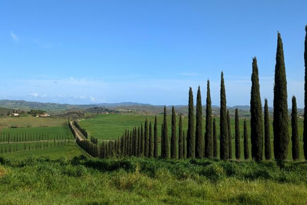 Consorzio-COSVIMAT