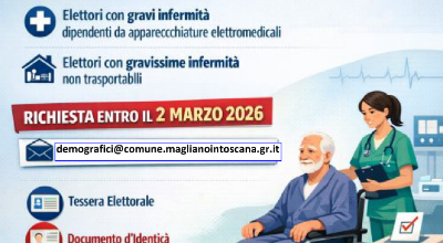 Immagine voto domiciliare 2026