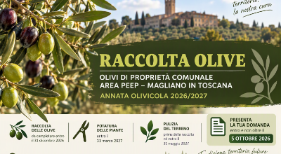 RaccoltaOlive