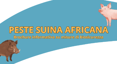 _Peste suina africana - BANNER
