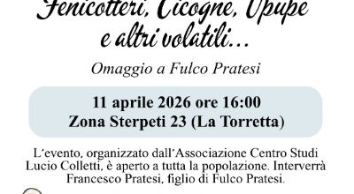 Fenicotteri, Cicogne Upupe e altri volatili 