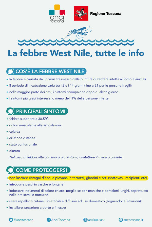 La febbre West Nile, tutte le info-1