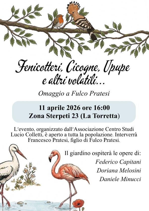 Fenicotteri, Cicogne Upupe e altri volatili 